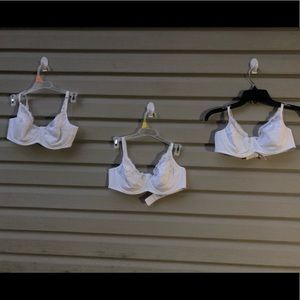 12 new bras, 34bx1, 36bx6, 36cx1, 38bx3, 40bx1
